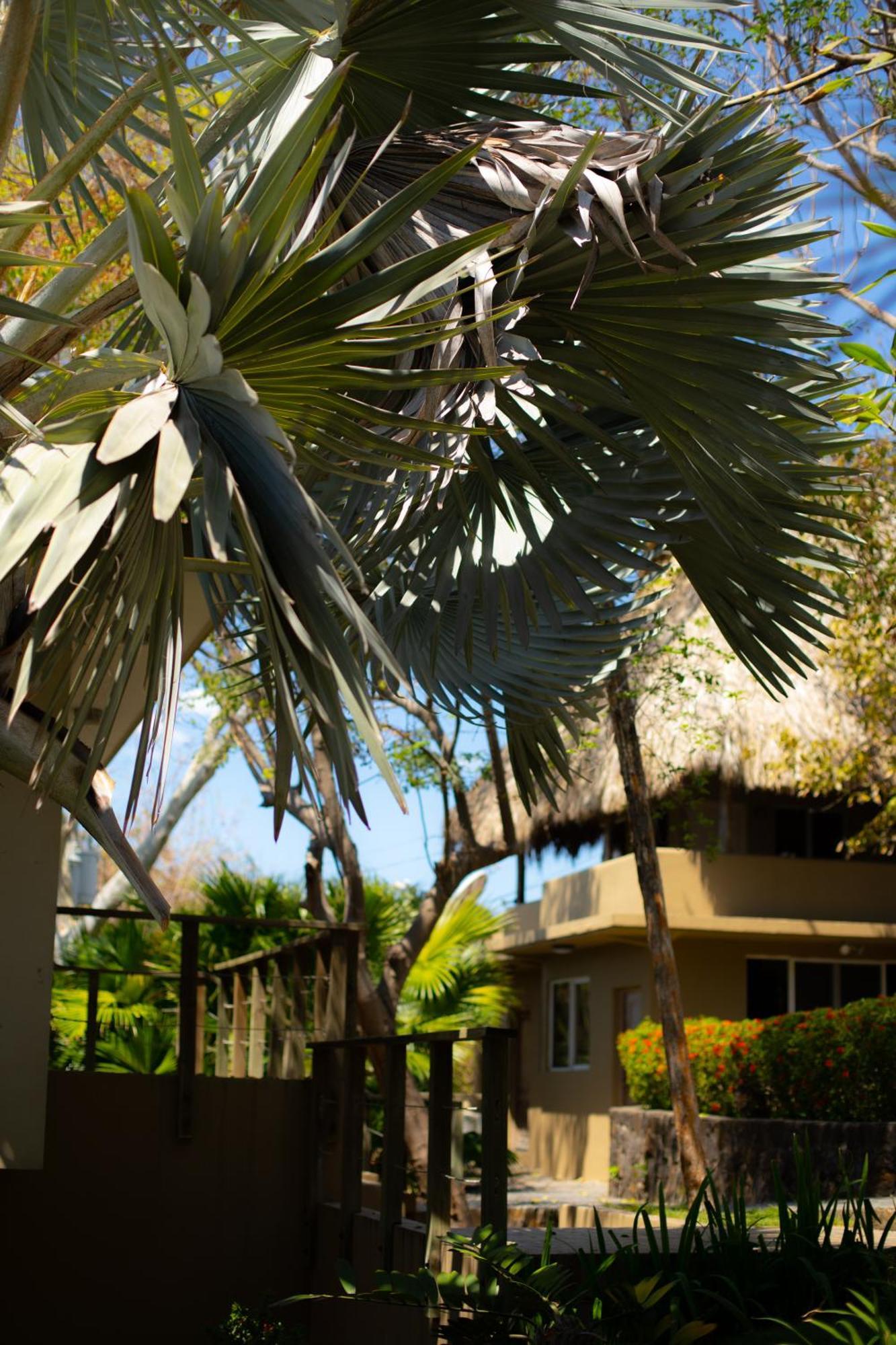 Casa De Mar Hotel And Villas La Libertad Eksteriør billede